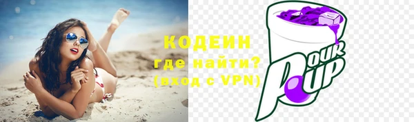 СК Кодинск